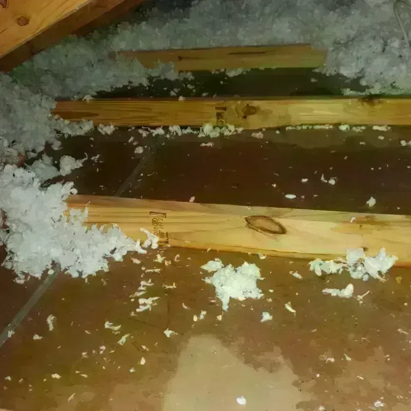 Attic Water Damage in Santa Barbara, CA