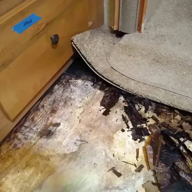 Wood Floor Water Damage in Santa Barbara, CA